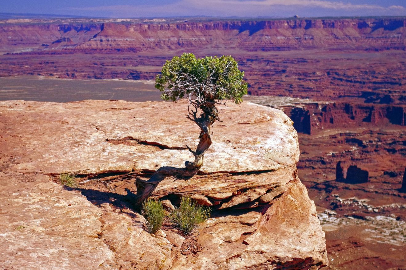 La résilience